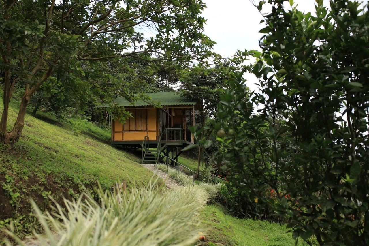 Sonarte Reserva Natural Cordoba  Exterior photo